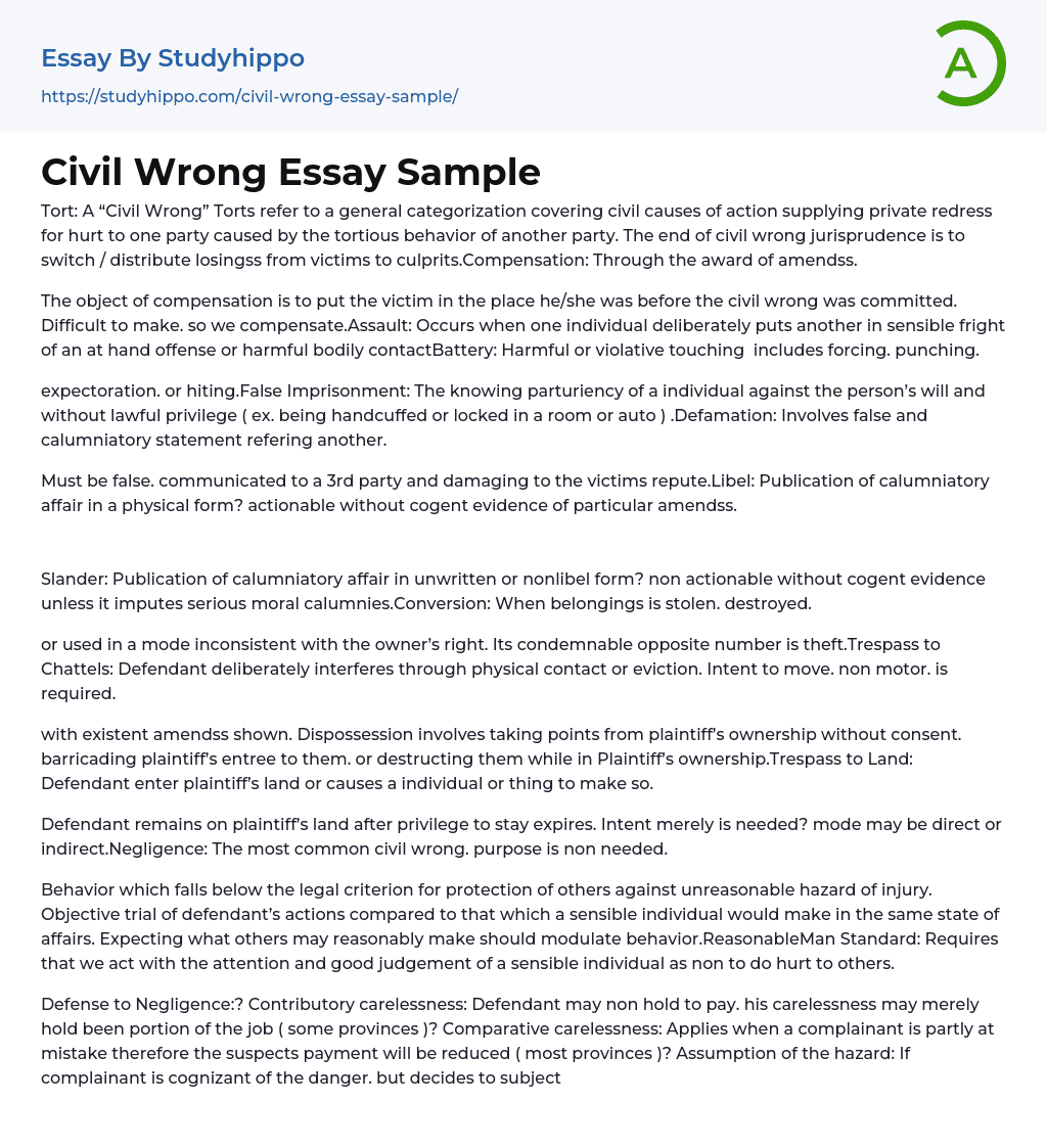 Civil Wrong Essay Sample