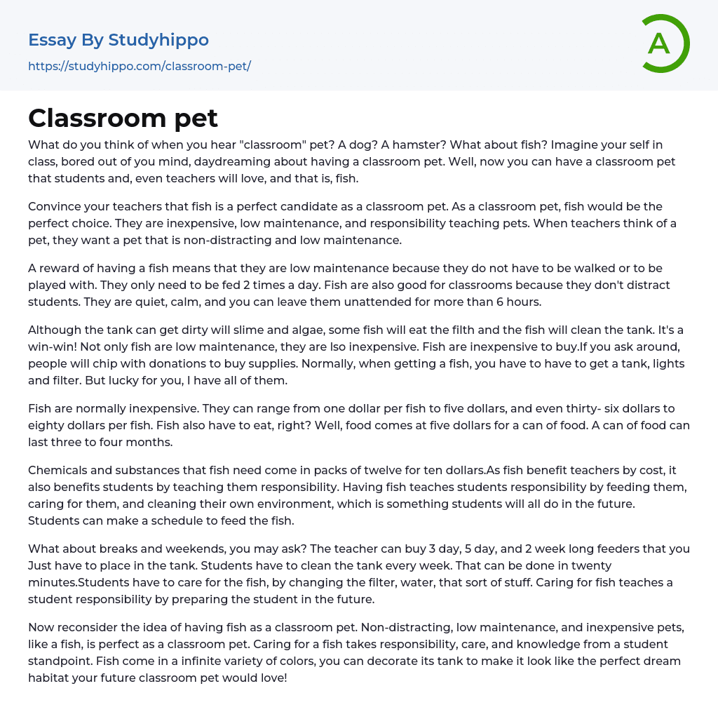 Classroom pet Essay Example