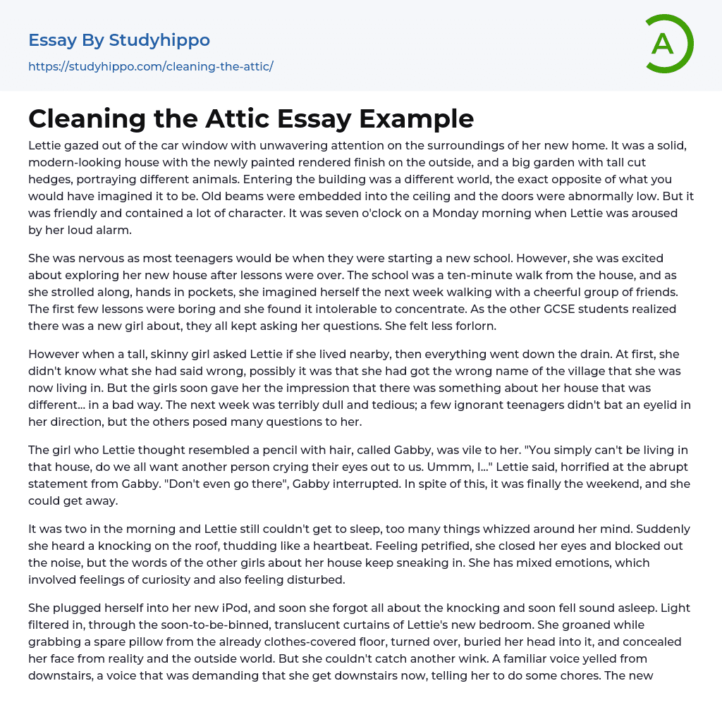 Cleaning the Attic Essay Example