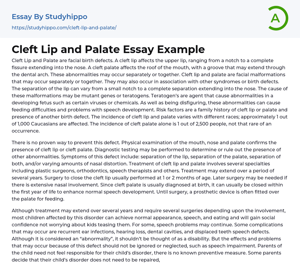Cleft Lip and Palate Essay Example