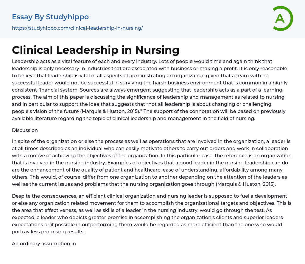 Clinical Leadership in Nursing Essay Example