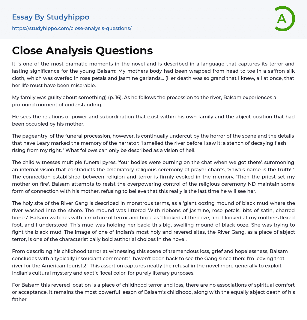 Close Analysis Questions Essay Example