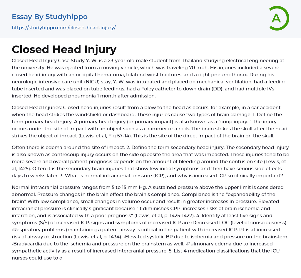 Closed Head Injury Essay Example