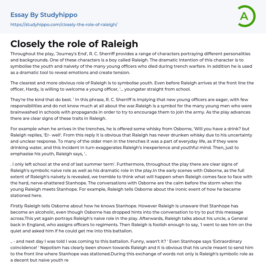 Closely the role of Raleigh Essay Example