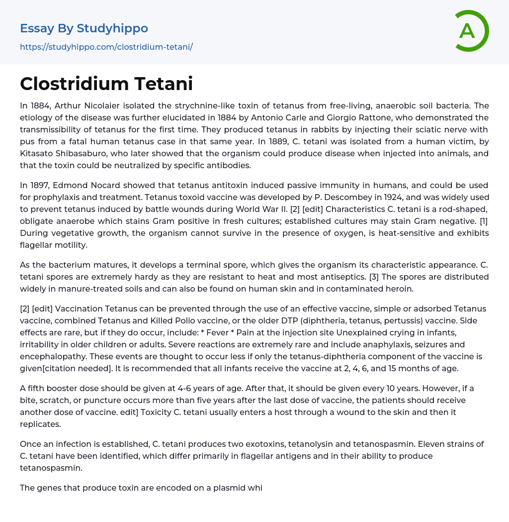 Clostridium Tetani Essay Example