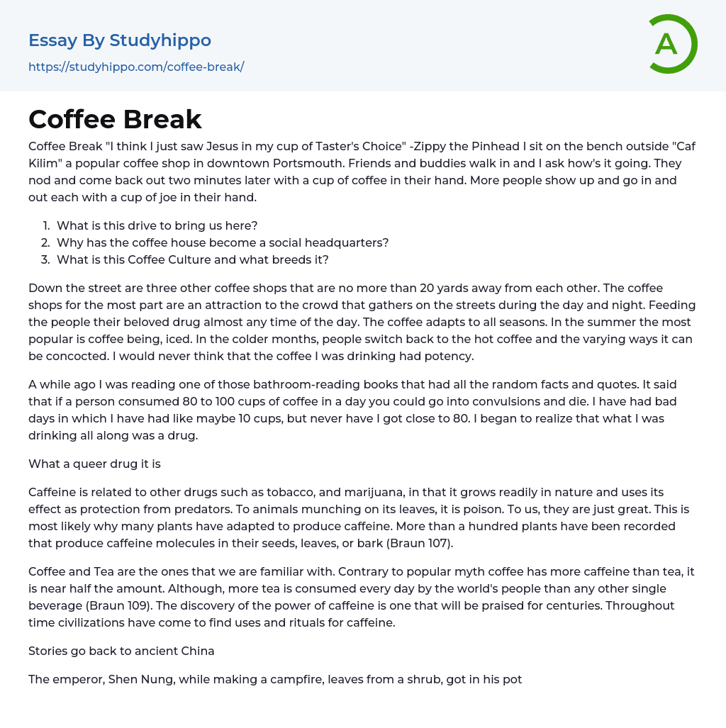 Coffee Break Essay Example