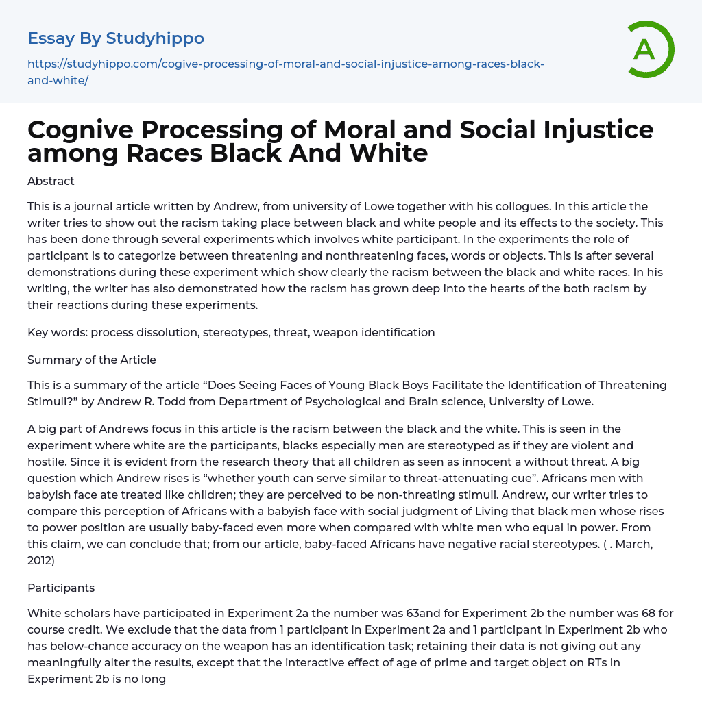 Cognive Processing of Moral and Social Injustice among Races Black And White Essay Example