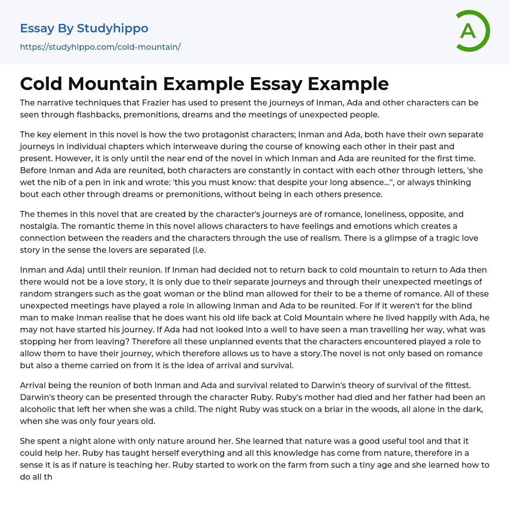 Cold Mountain Example Essay Example