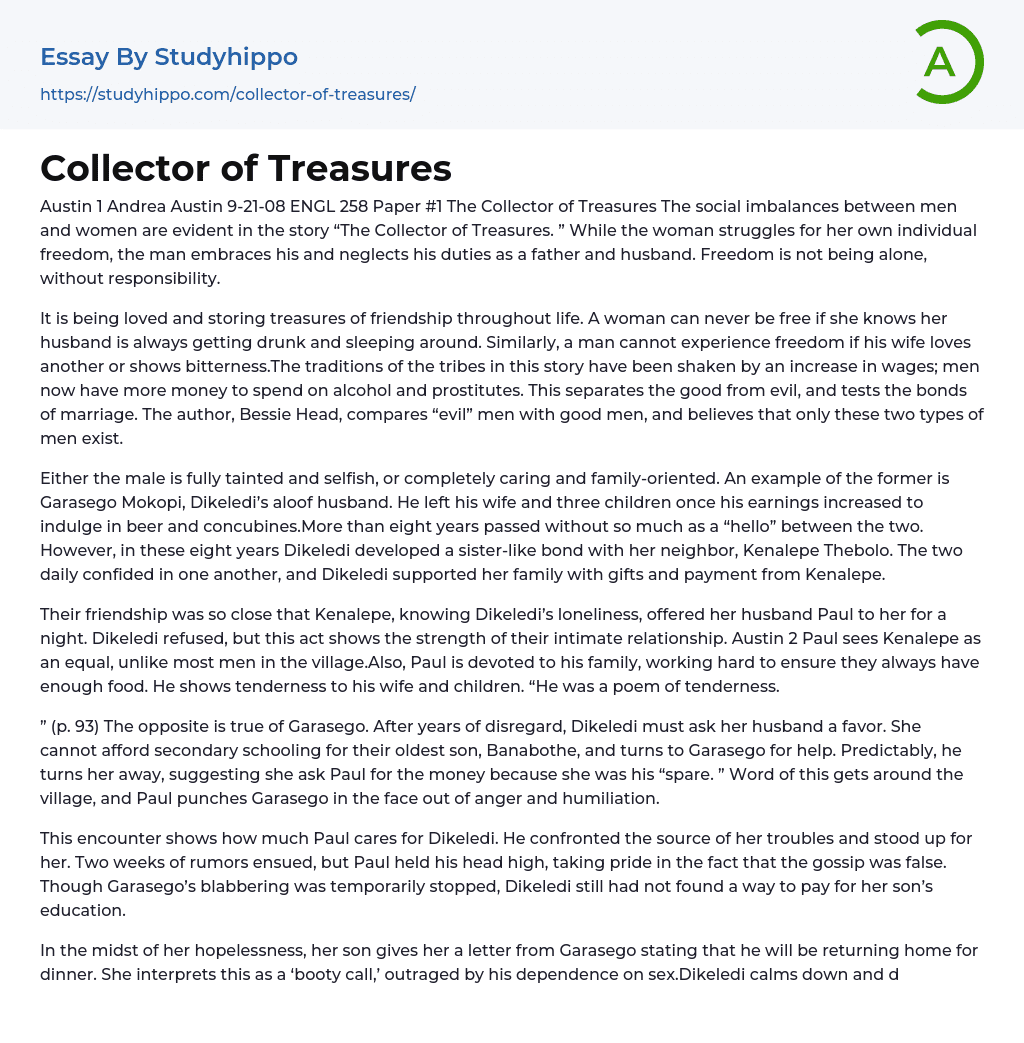The Social Imbalances between Men and Women Are In “The Collector of Treasures Essay Example