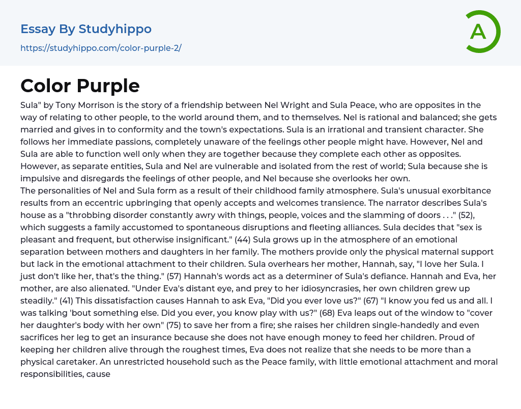 Color Purple Essay Example