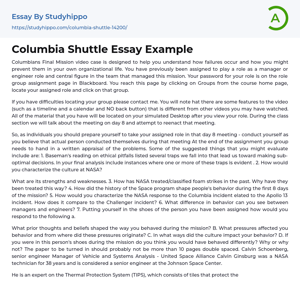 Columbia Shuttle Essay Example