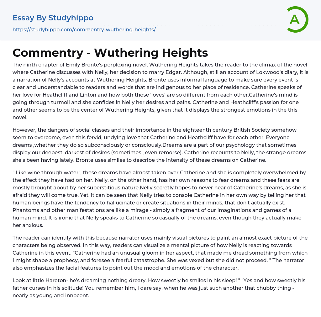 Commentry – Wuthering Heights Essay Example
