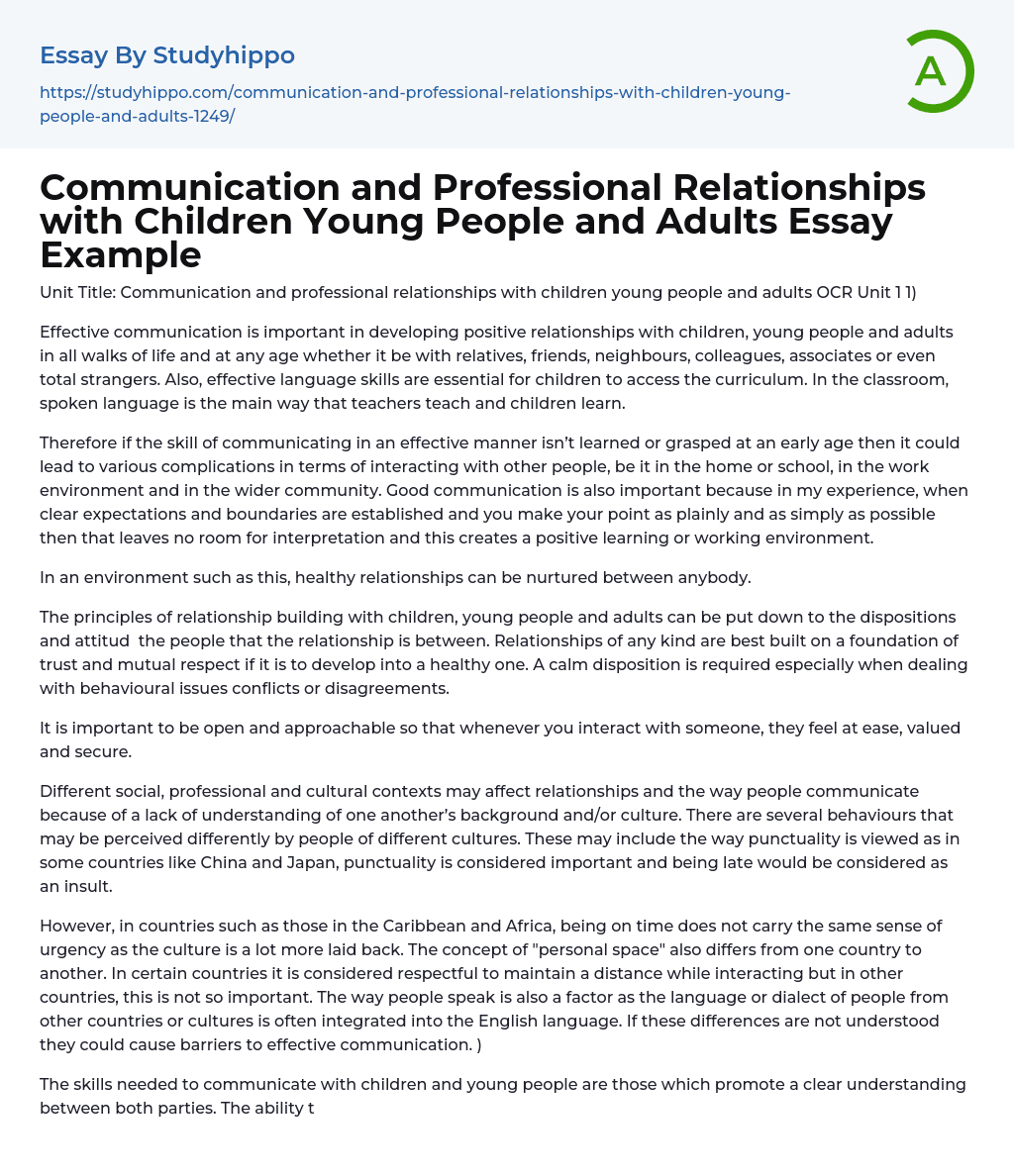 Communication and Professional Relationships with Children Young People and Adults Essay Example