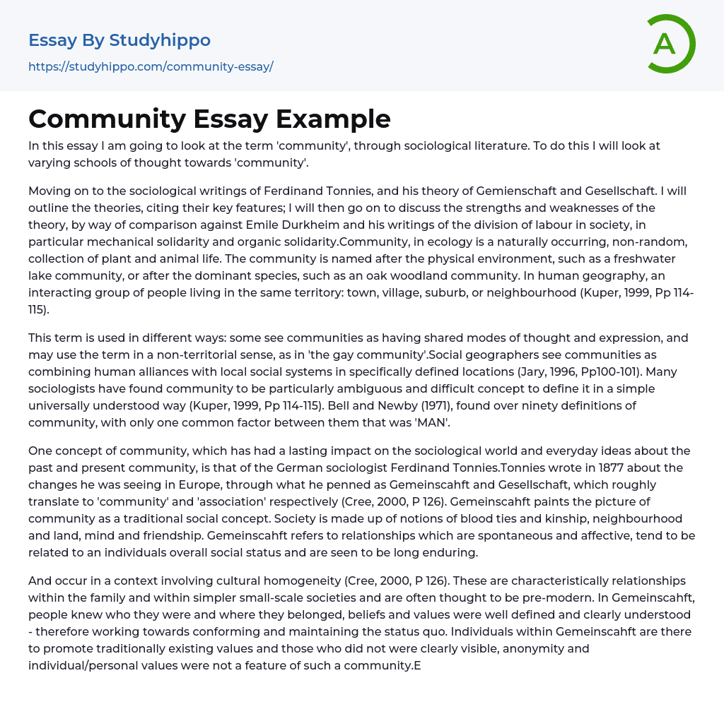 Community Essay Example