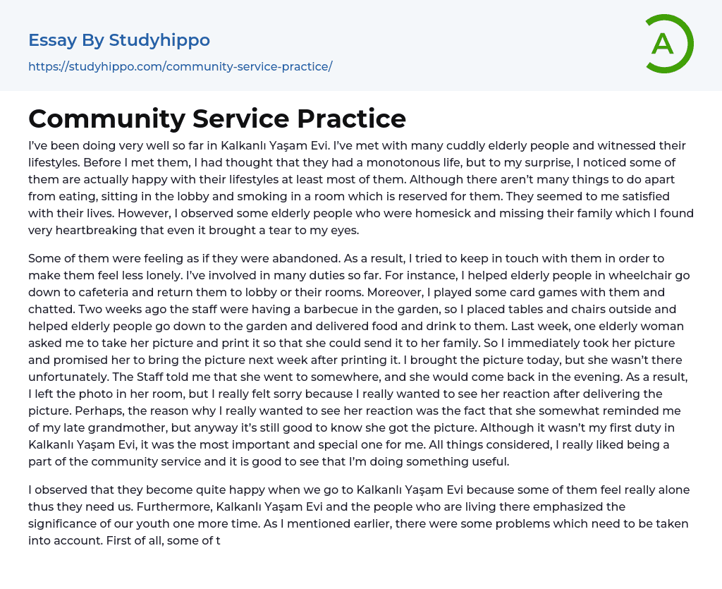 Community Service Practice Essay Example