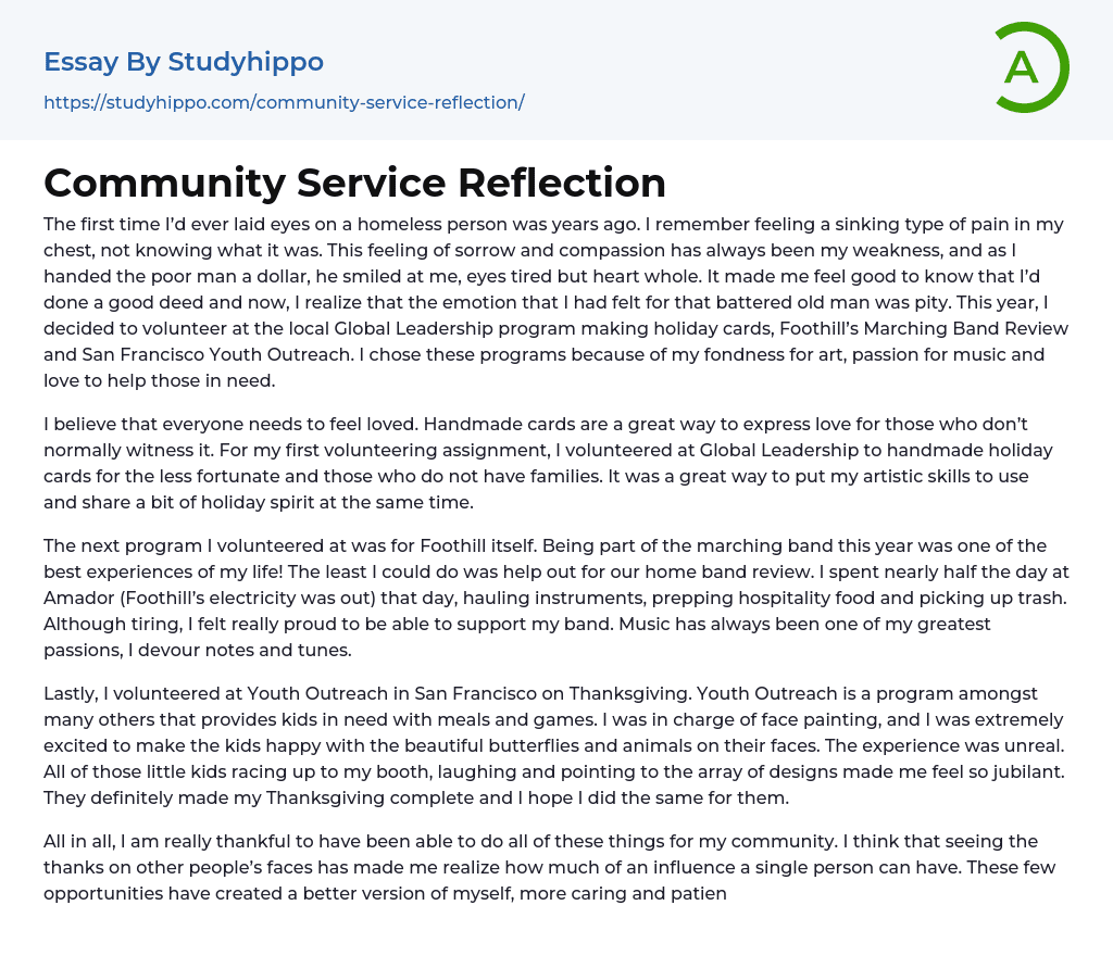Community Service Reflection Essay Example