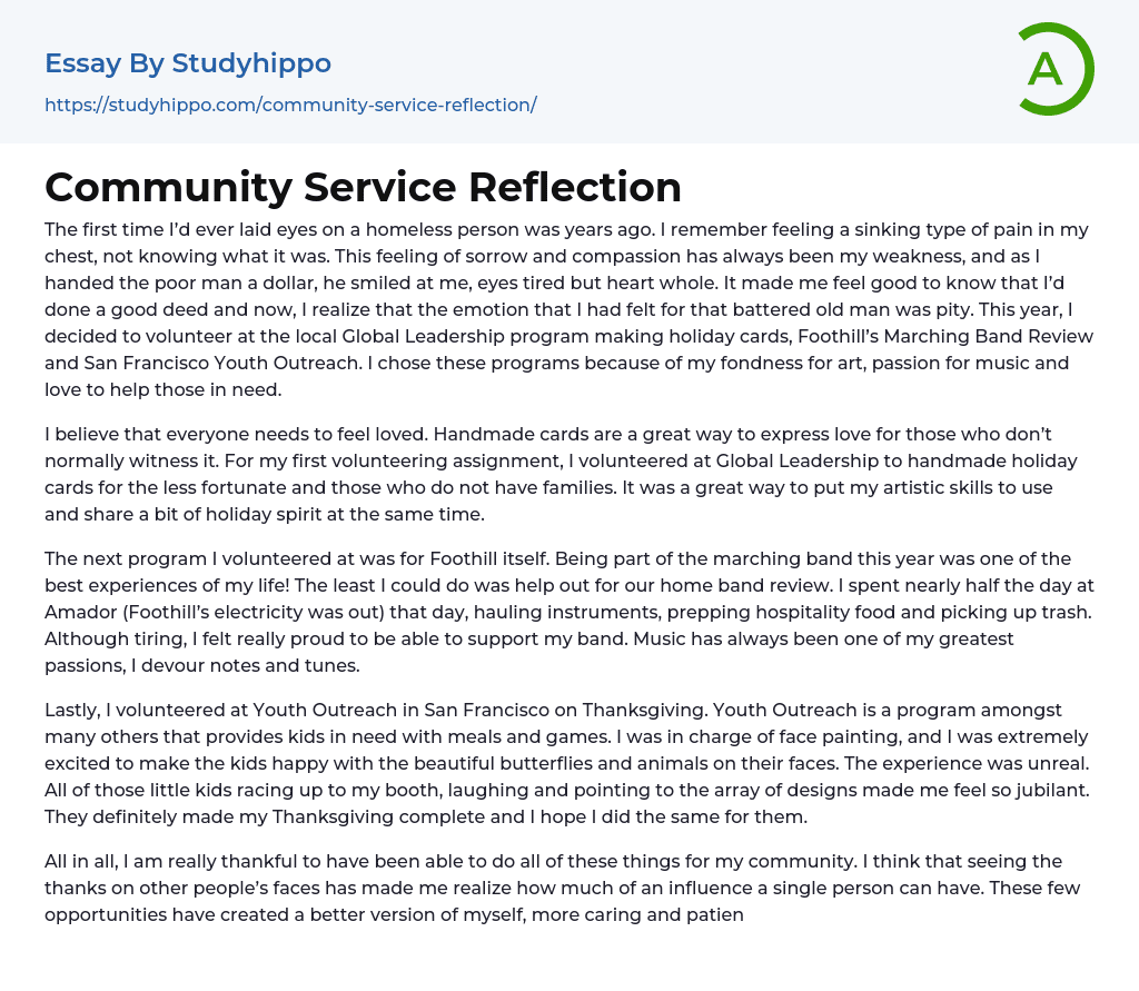 Community Service Reflection Essay Example StudyHippo