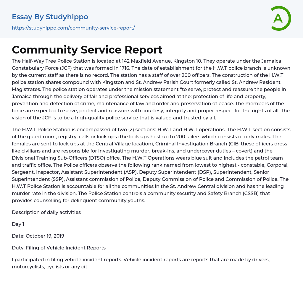 Community Service Report Essay Example