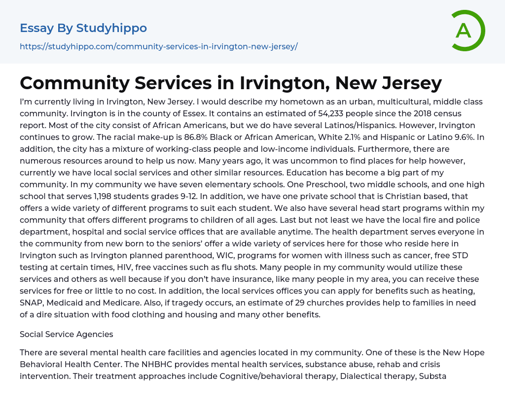 Community Services in Irvington, New Jersey Essay Example