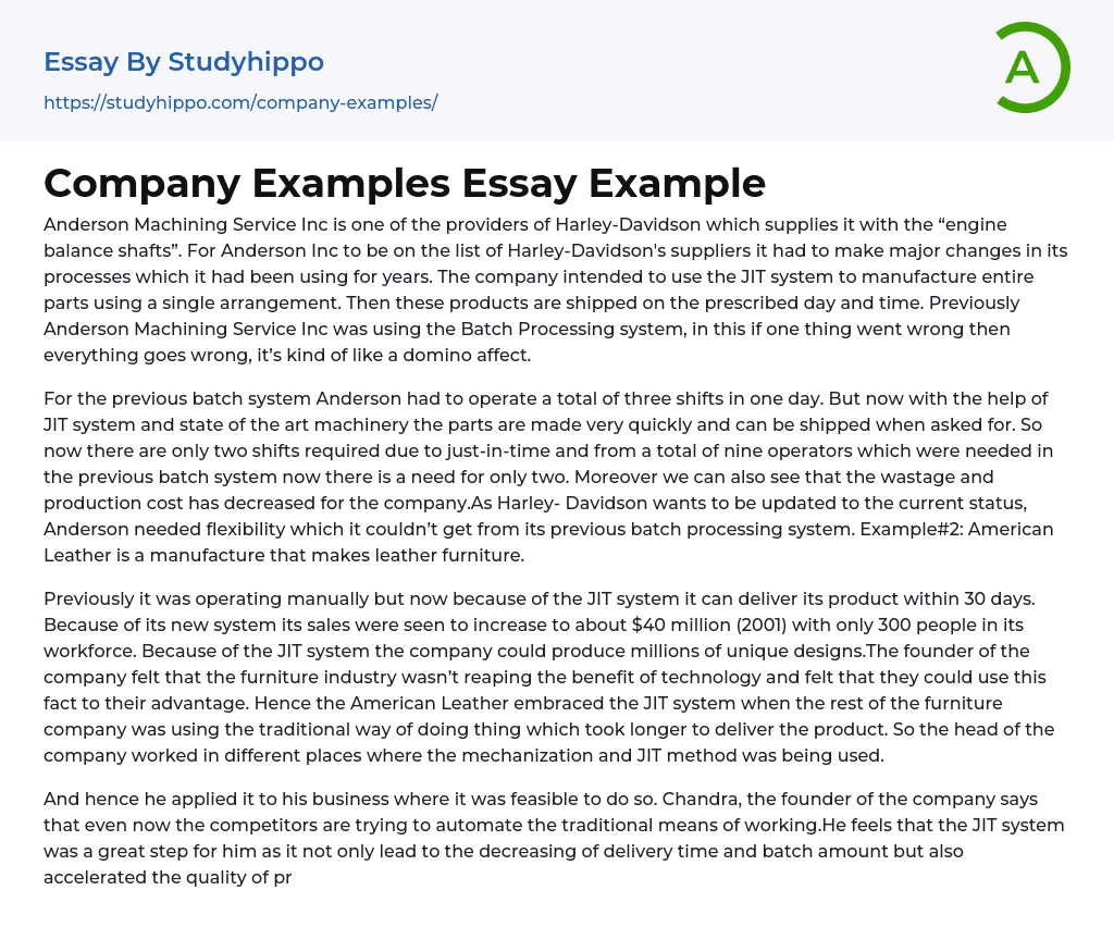 Company Examples Essay Example