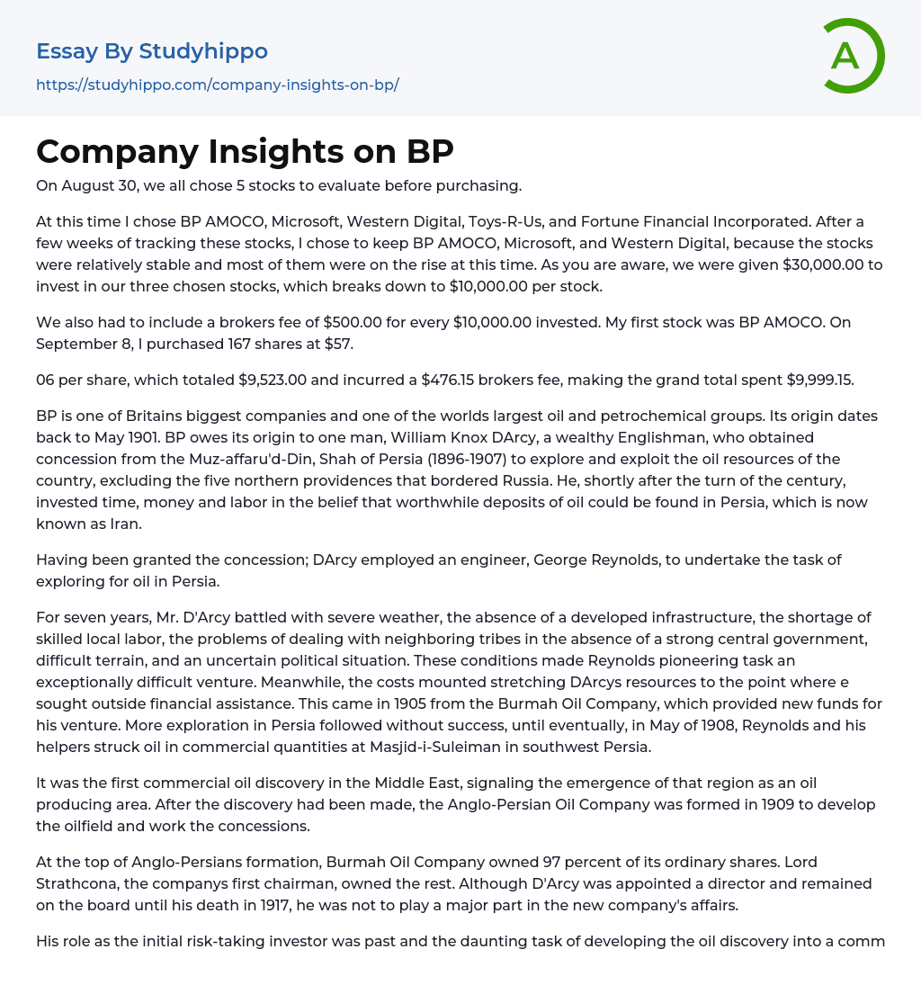 Company Insights on BP Essay Example