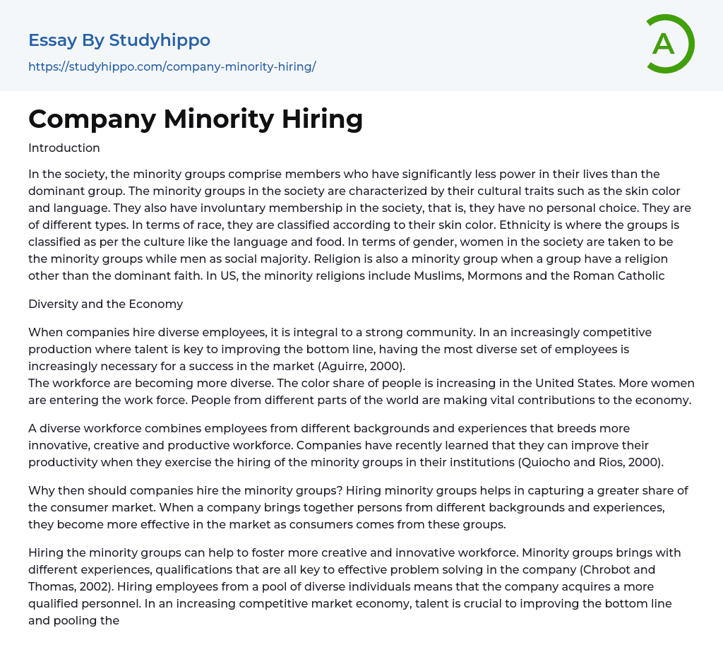 Company Minority Hiring Essay Example