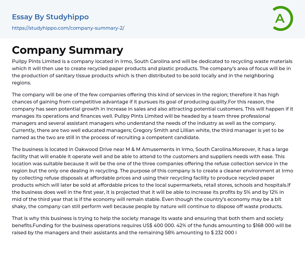 Company Summary Essay Example