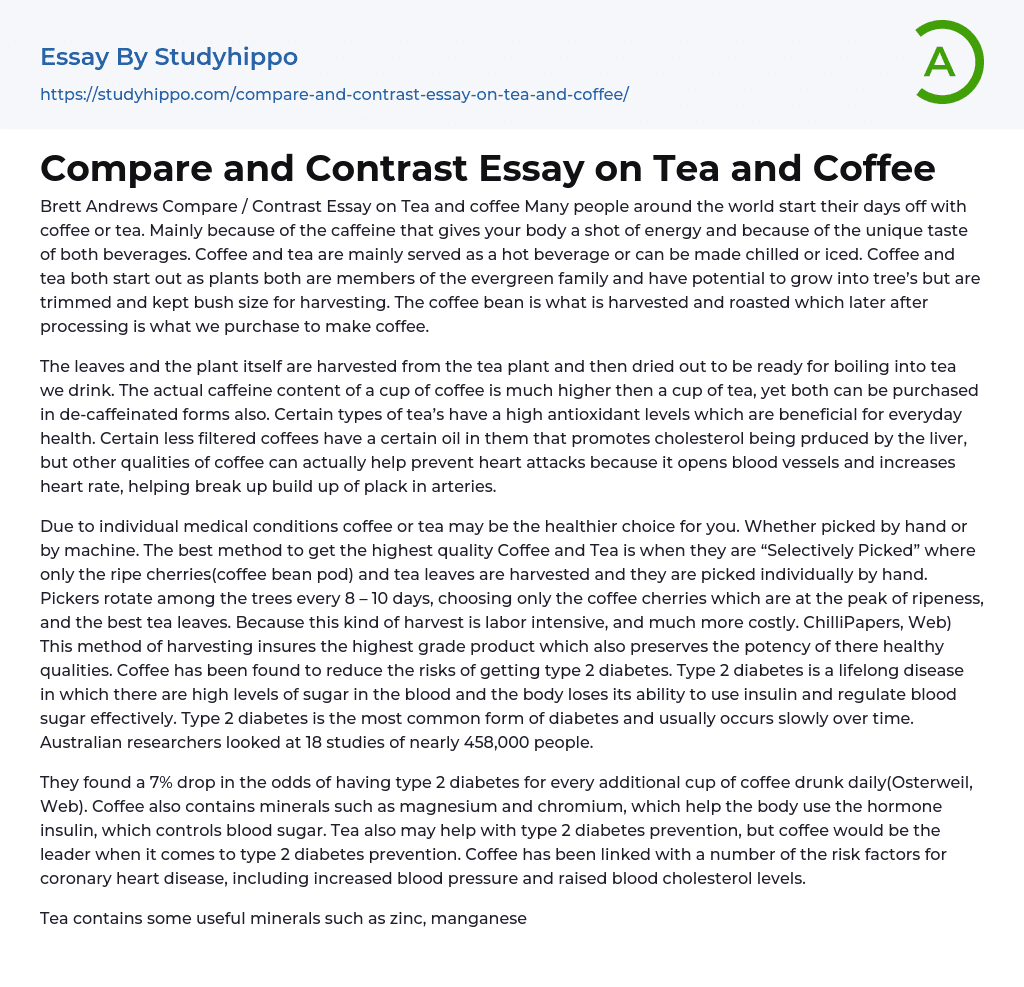 types of tea essay