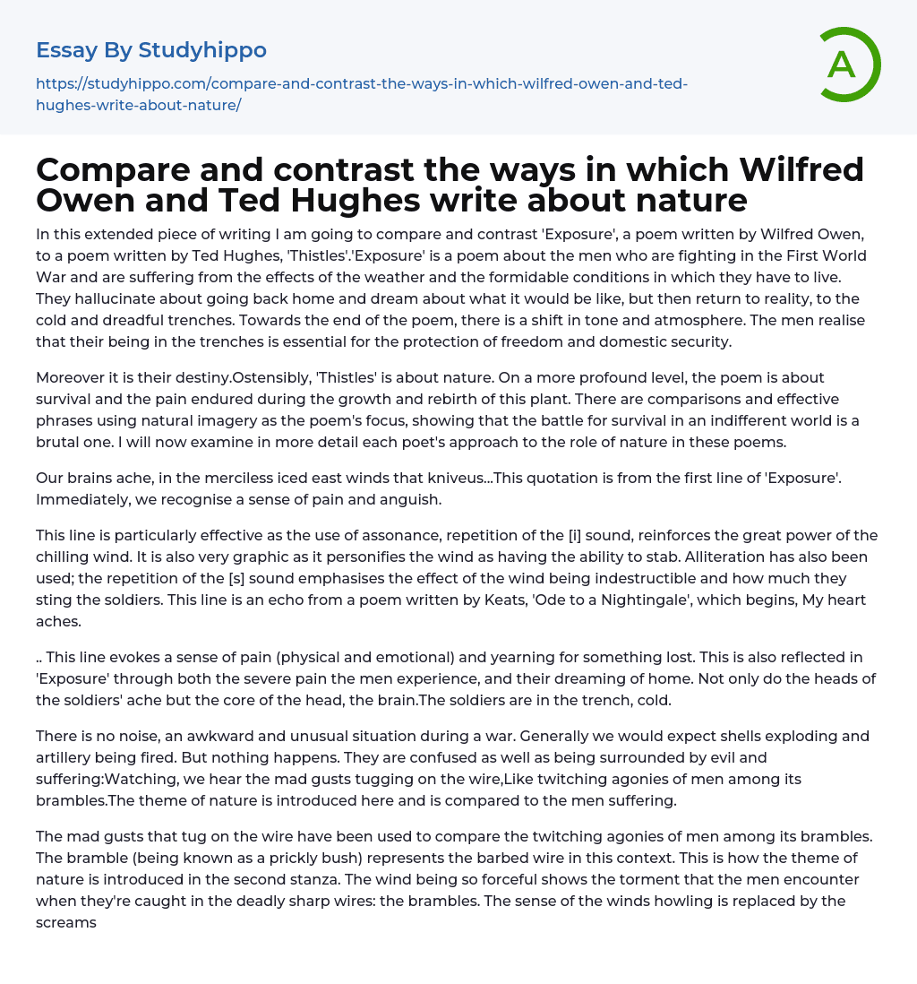 Compare and contrast the ways in which Wilfred Owen and Ted Hughes write about nature Essay Example