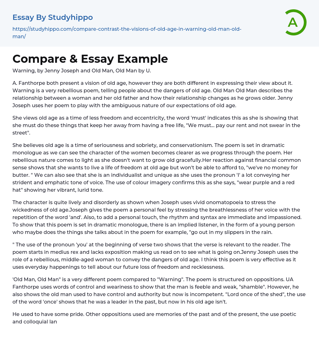 Compare &amp Essay Example