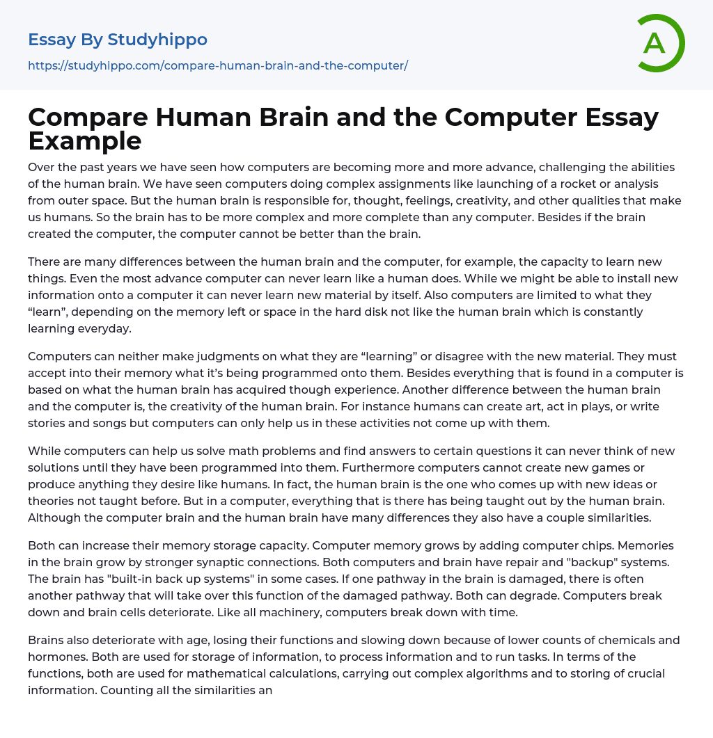 Compare Human Brain and the Computer Essay Example