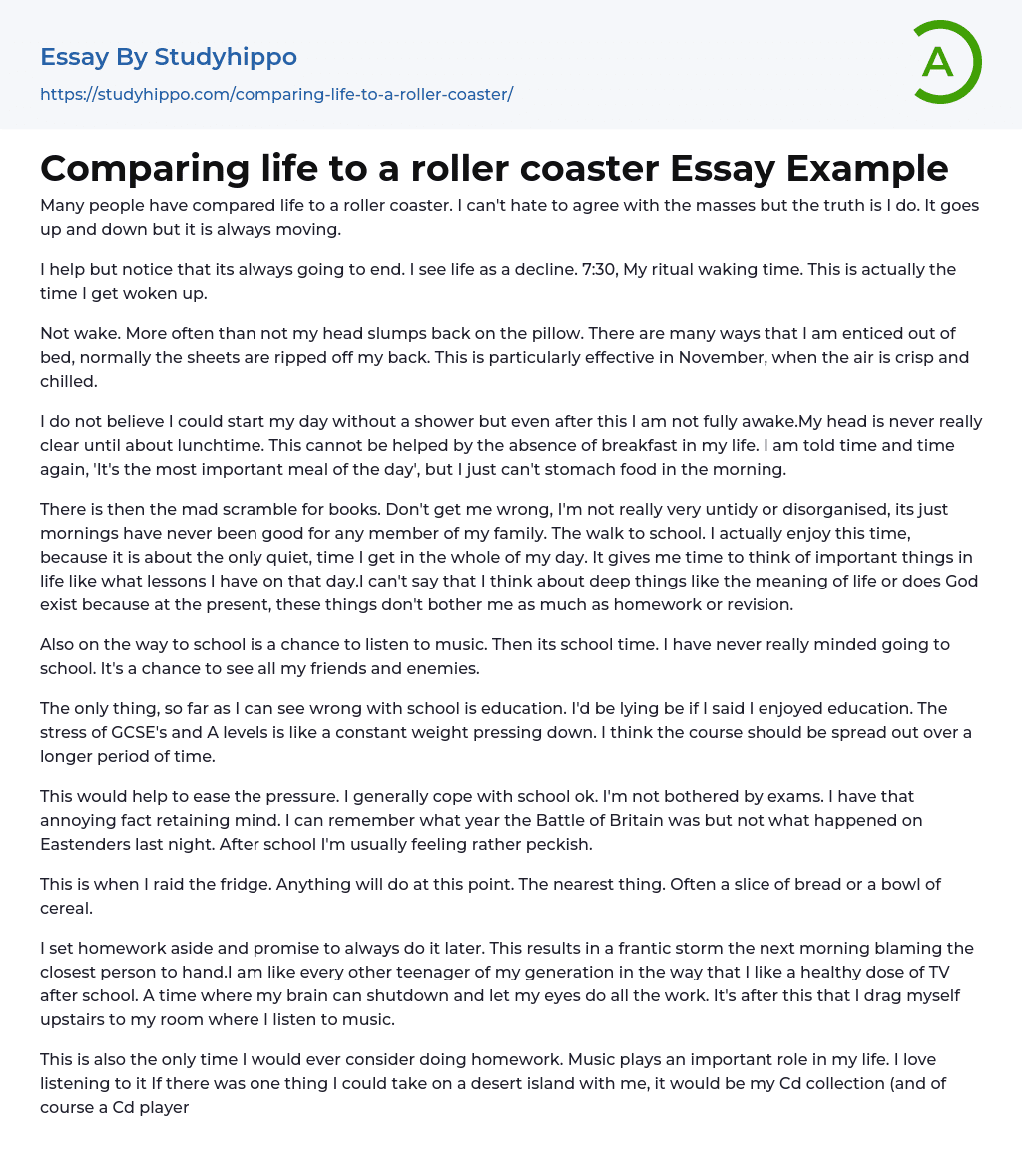 Comparing life to a roller coaster Essay Example
