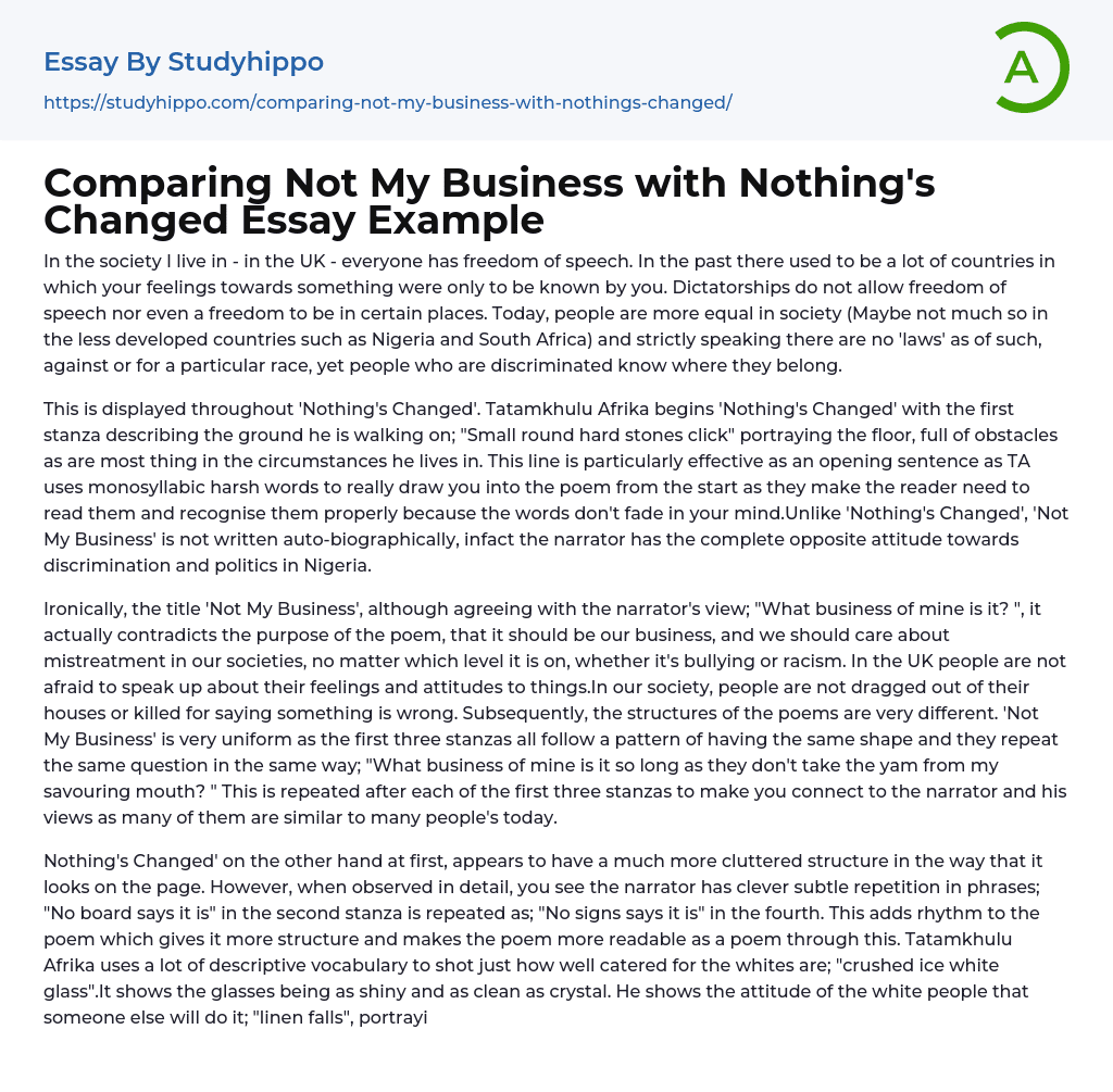 Comparing Not My Business with Nothing’s Changed Essay Example