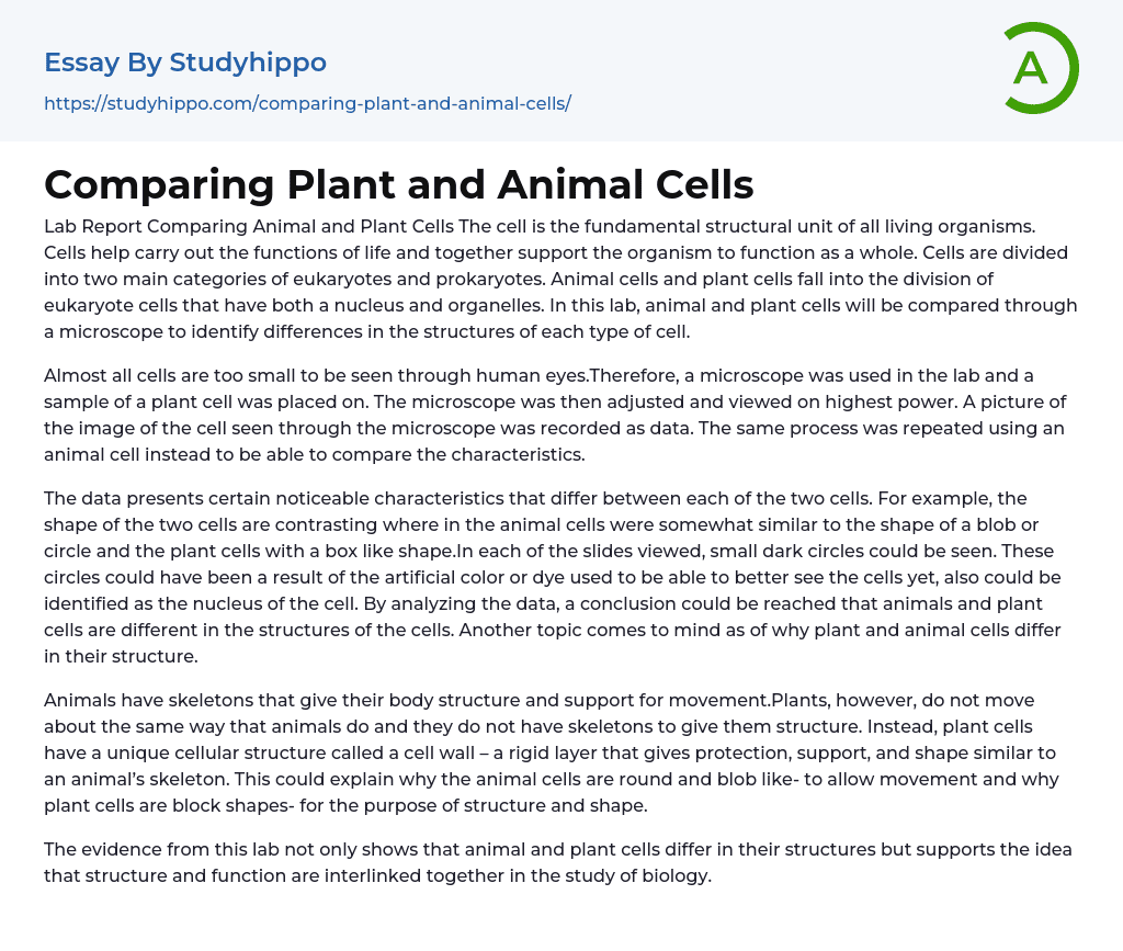 Comparing Plant and Animal Cells Essay Example