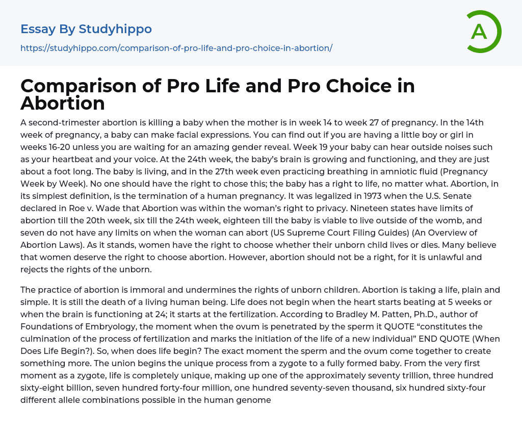 Comparison of Pro Life and Pro Choice in Abortion Essay Example