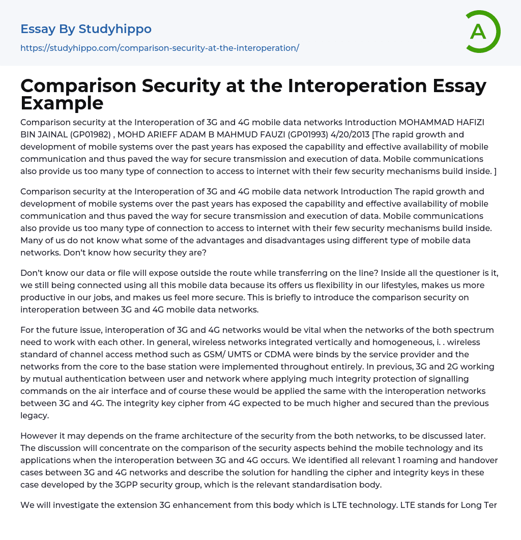 Comparison Security at the Interoperation Essay Example
