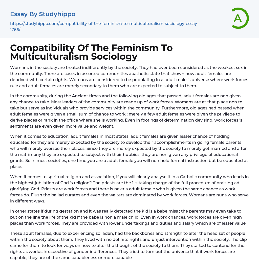 Compatibility Of The Feminism To Multiculturalism Sociology Essay Example