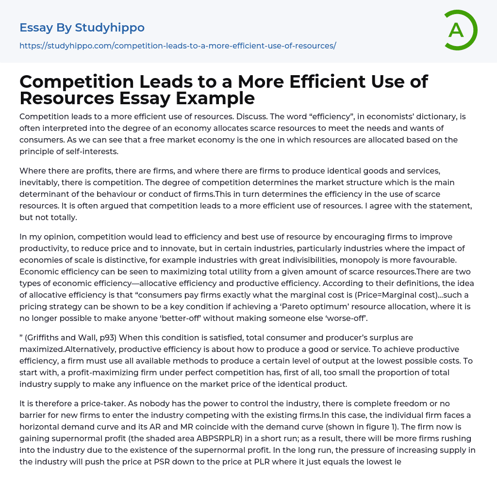 Competition Leads to a More Efficient Use of Resources Essay Example