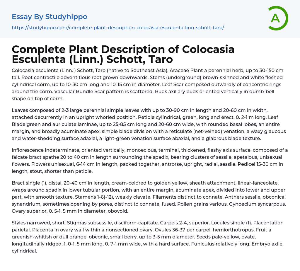 Complete Plant Description of Colocasia Esculenta (Linn.) Schott, Taro Essay Example