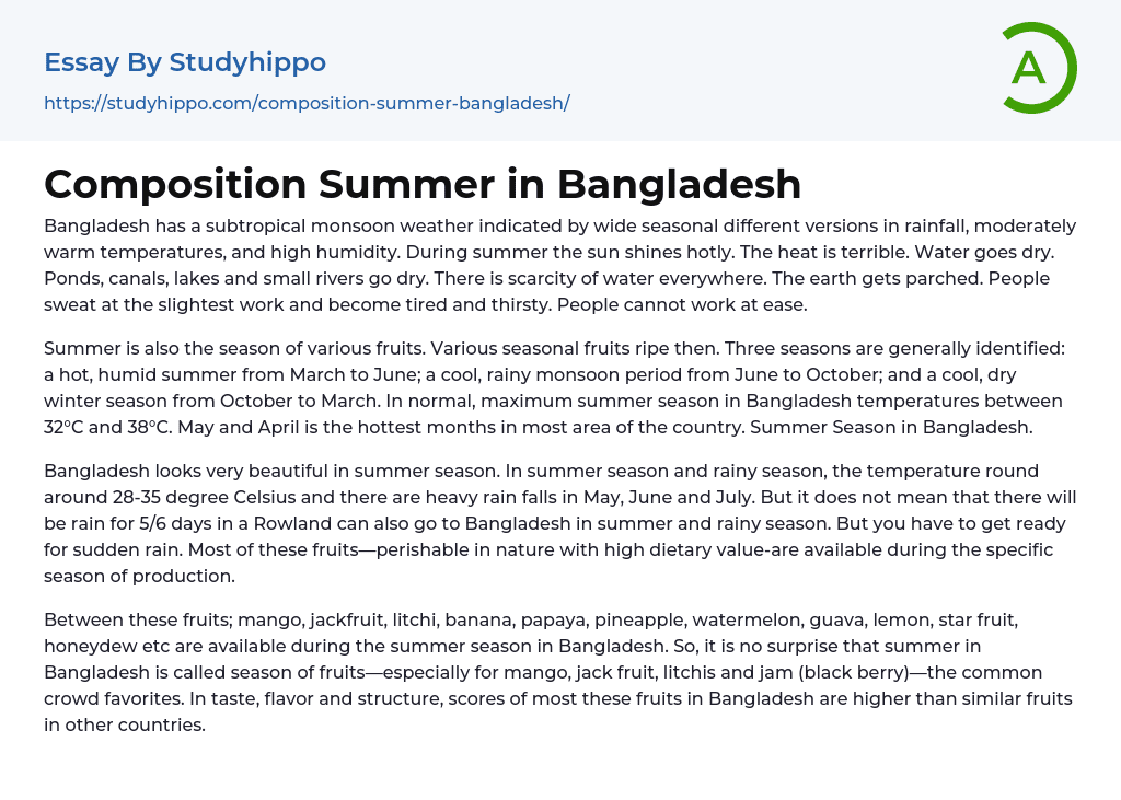 Composition Summer in Bangladesh Essay Example