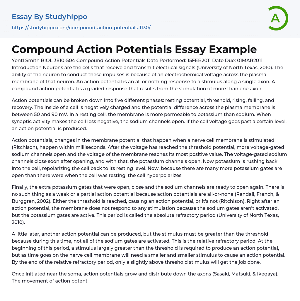 Compound Action Potentials Essay Example