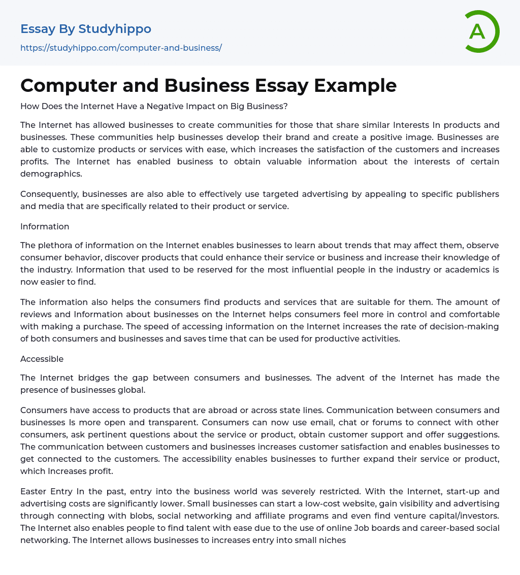 Computer and Business Essay Example