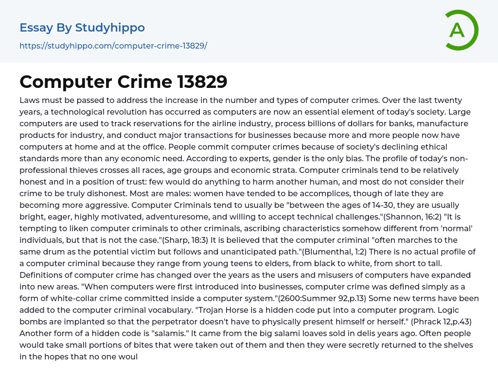 Computer Crime 13829 Essay Example