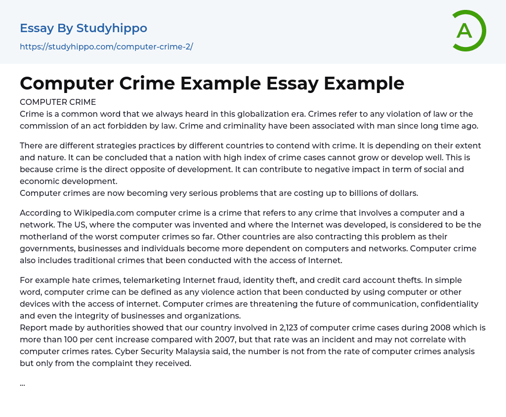 Computer Crime Example Essay Example