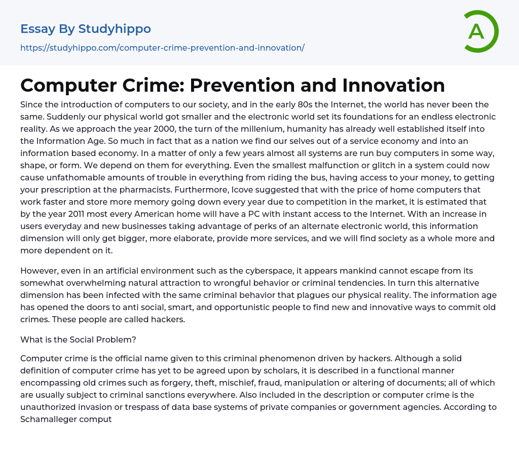 Computer Crime: Prevention and Innovation Essay Example