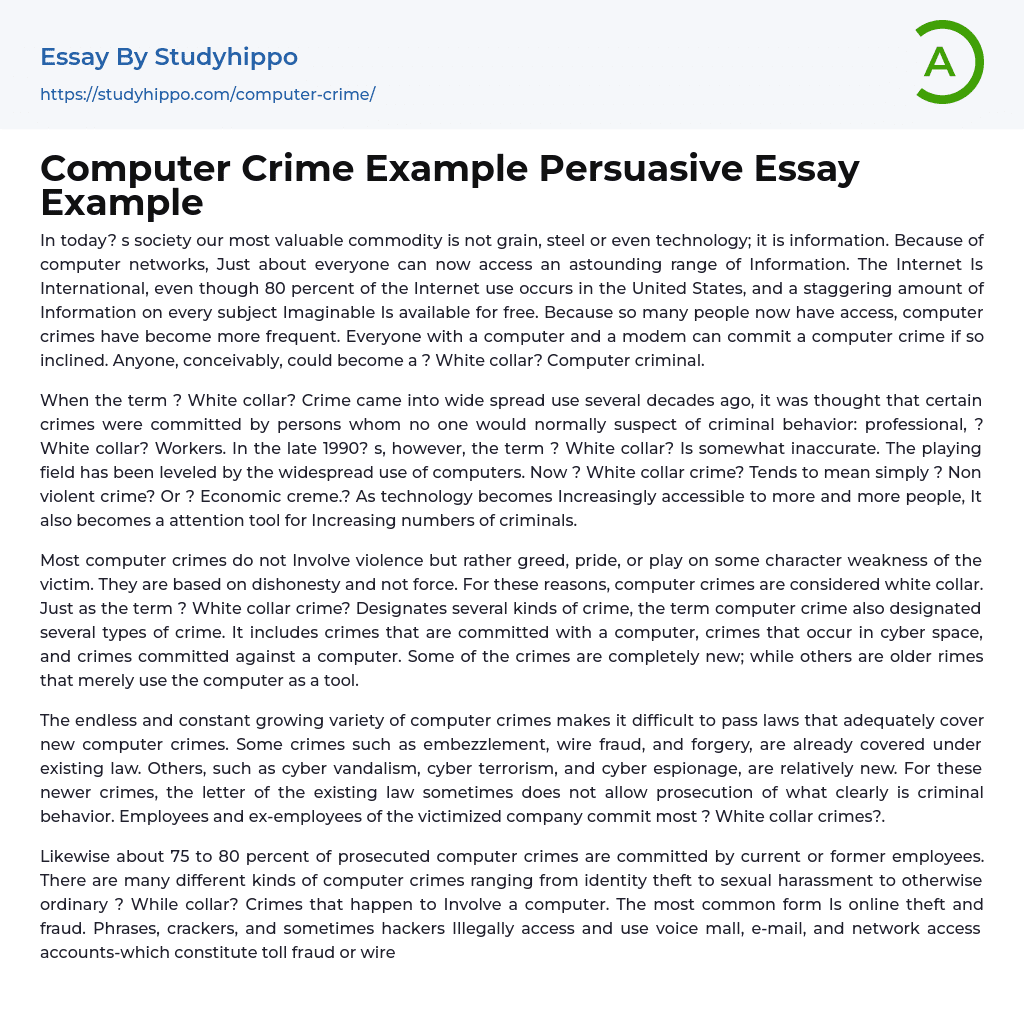 Computer Crime Example Persuasive Essay Example