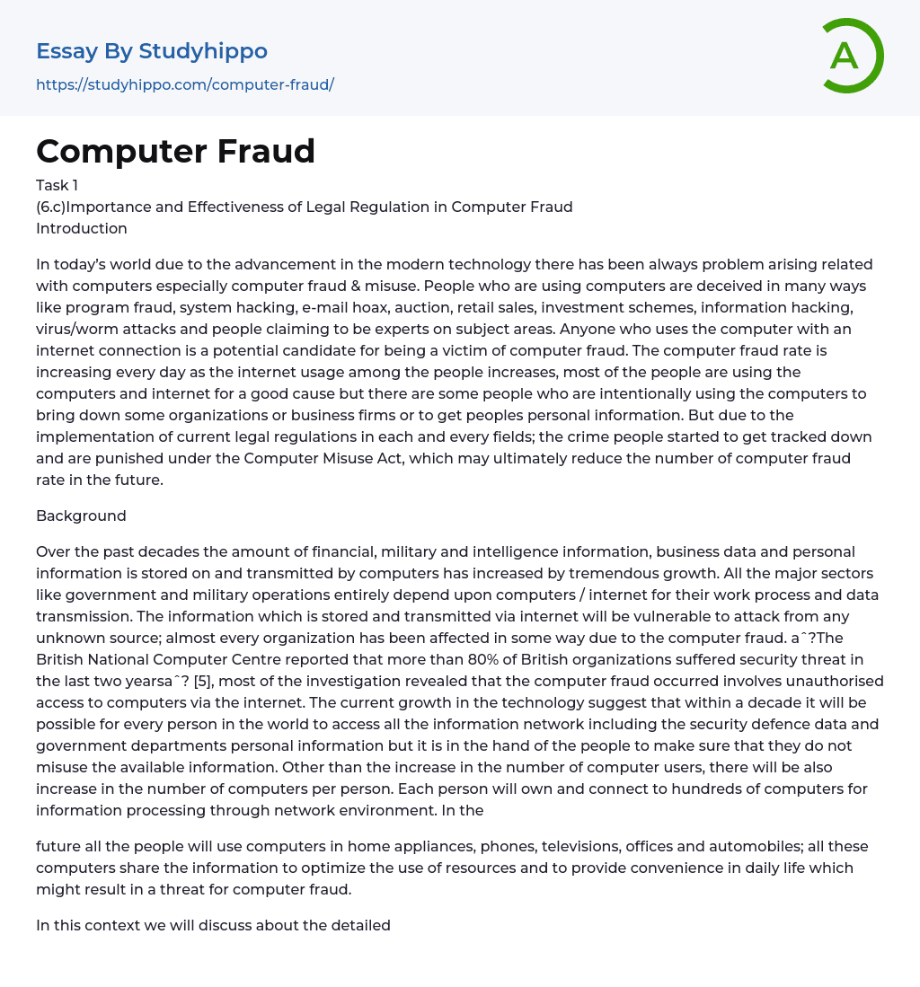 Computer Fraud Essay Example