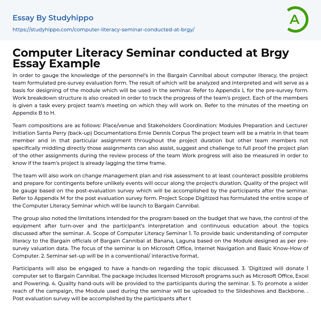 Computer Literacy Seminar conducted at Brgy Essay Example