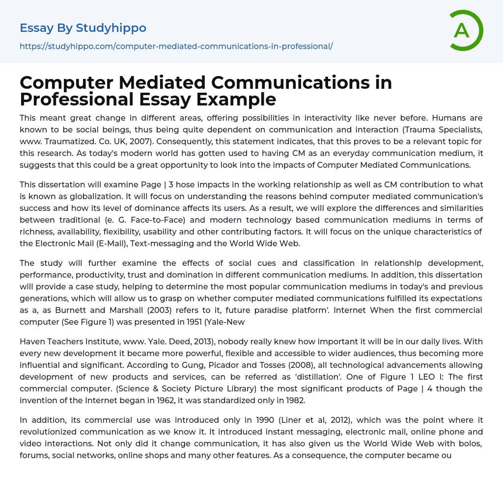 Computer Mediated Communications in Professional Essay Example