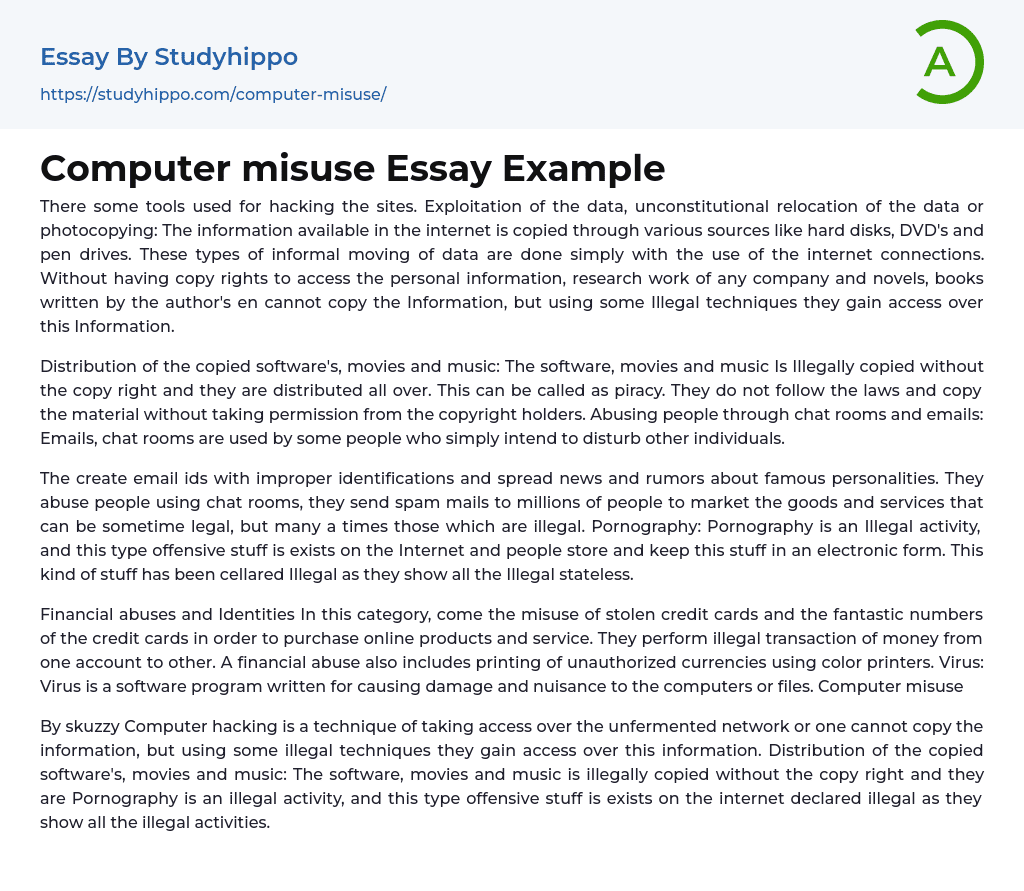Computer misuse Essay Example